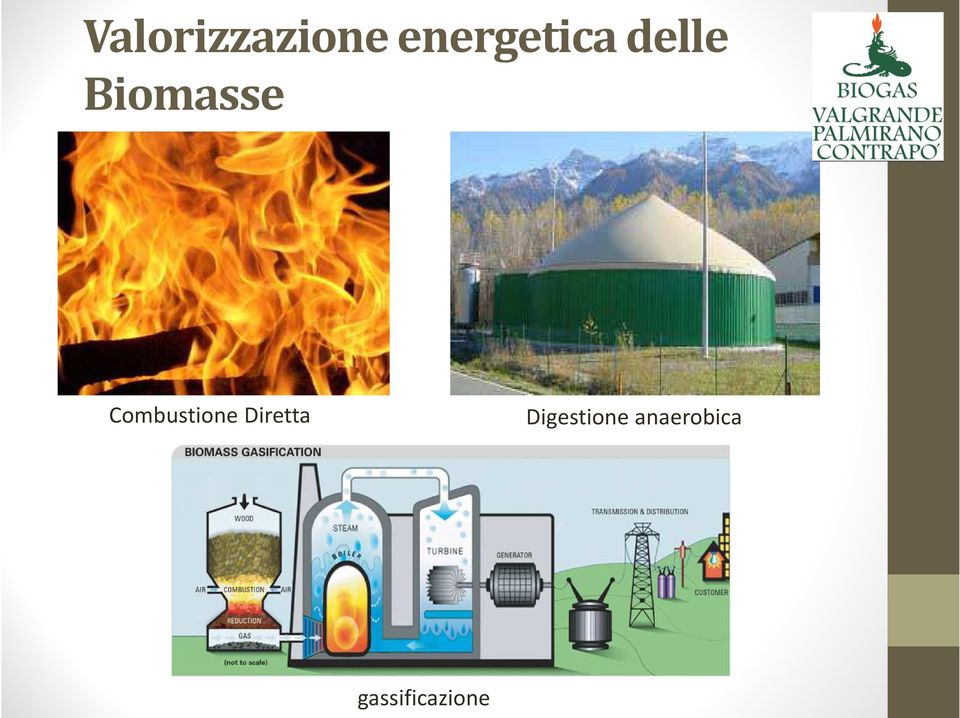 Biomasse Combustione