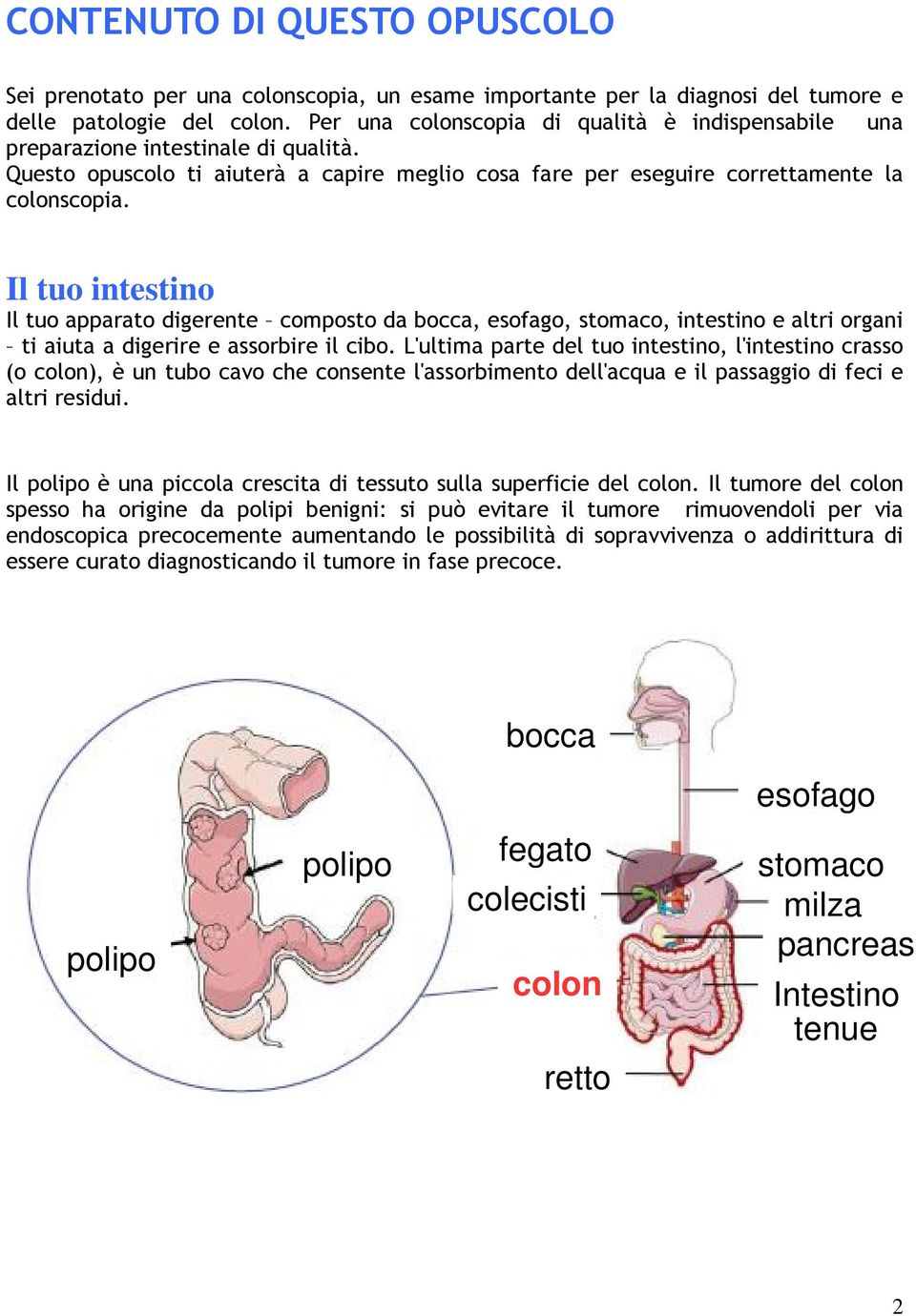 Il tuo intestino Il tuo apparato digerente composto da bocca, esofago, stomaco, intestino e altri organi ti aiuta a digerire e assorbire il cibo.