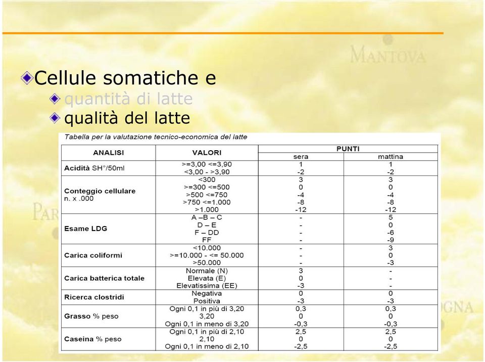 quantità di