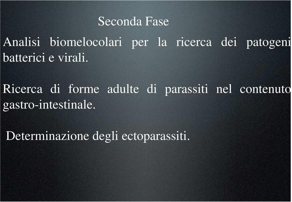 Ricerca di forme adulte di parassiti nel