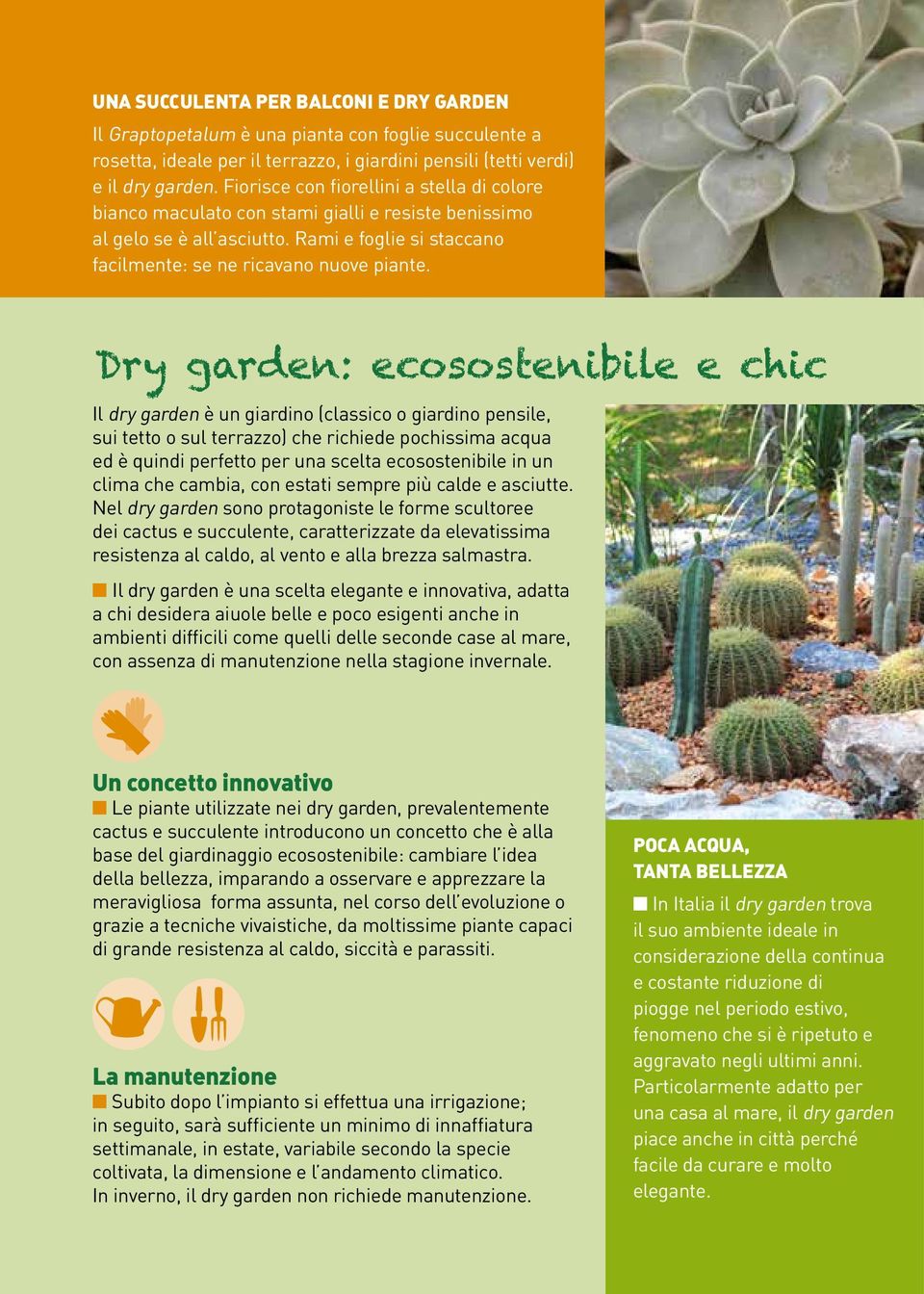 Dry garden: ecosostenibile e chic Il dry garden è un giardino (classico o giardino pensile, sui tetto o sul terrazzo) che richiede pochissima acqua ed è quindi perfetto per una scelta ecosostenibile