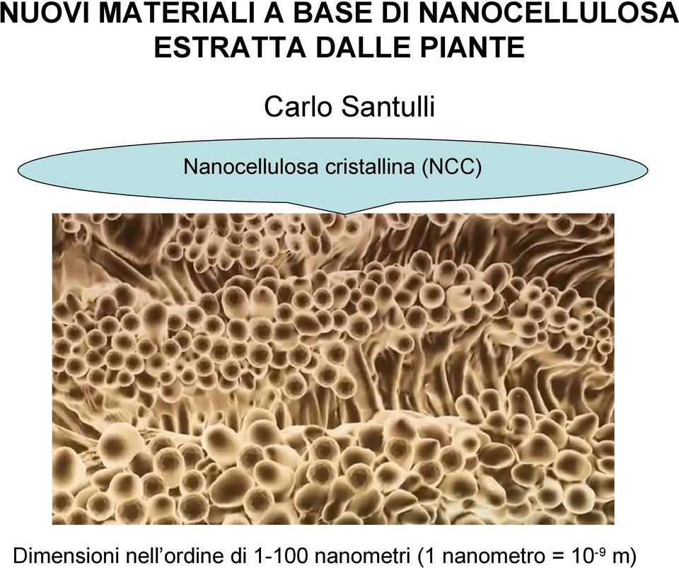 Nanocellulosa cristallina (NCC) Dimensioni
