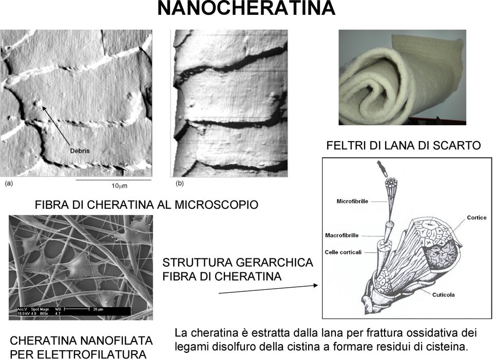 NANOFILATA PER ELETTROFILATURA La cheratina è estratta dalla lana per
