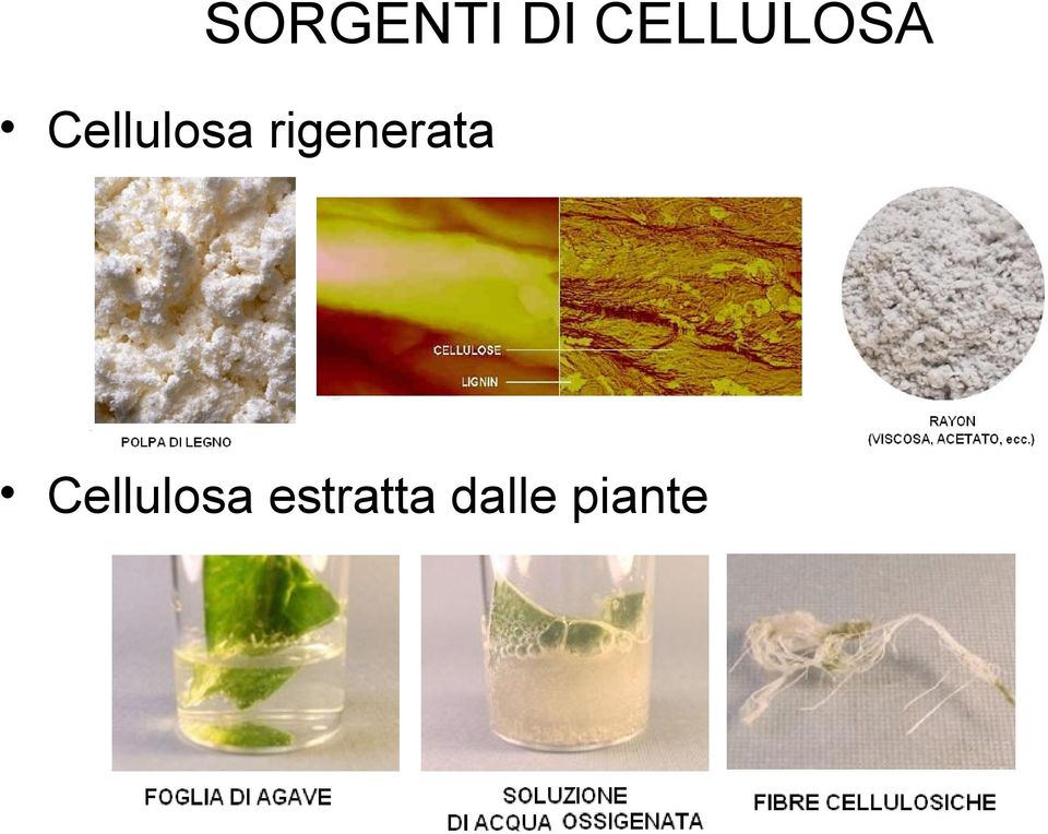 Cellulosa