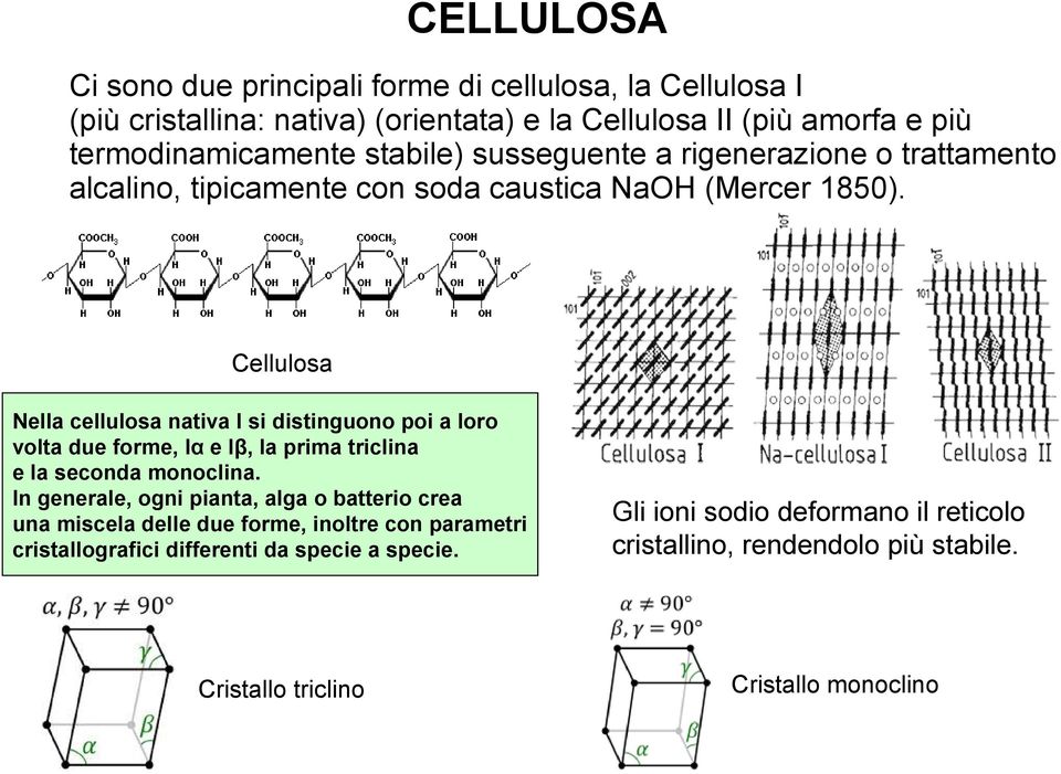 Cellulosa Nella cellulosa nativa I si distinguono poi a loro volta due forme, Iα e Iβ, la prima triclina e la seconda monoclina.