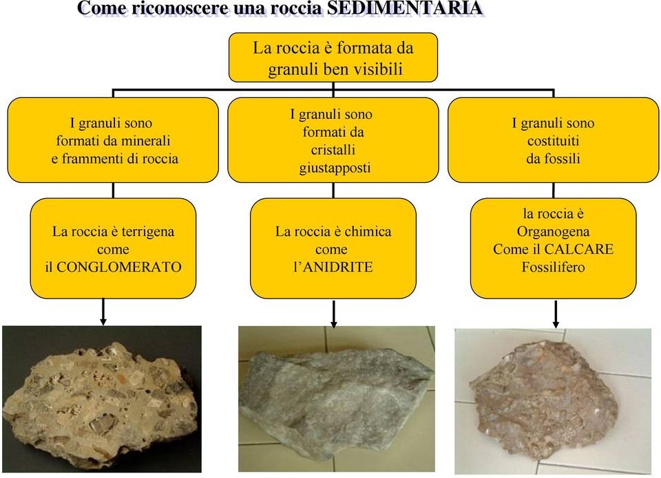 cristalli giustapposti I granuli sono costituiti da fossili La roccia è terrigena come il