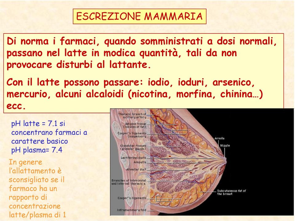 Con il latte possono passare: iodio, ioduri, arsenico, mercurio, alcuni alcaloidi (nicotina, morfina, chinina )