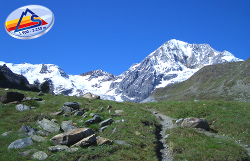 Introduzione La valle alpina di Solda, circondata da oltre 20 tremila, è un ideale zona escursionistica. Grazie all altitudine di 1.