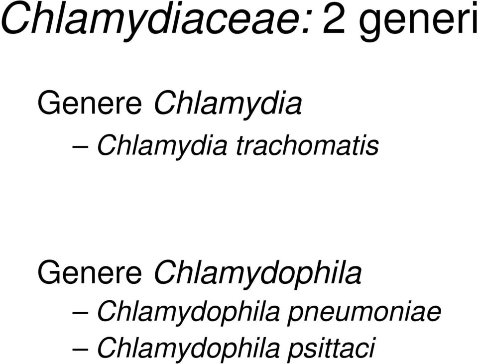 Genere Chlamydophila