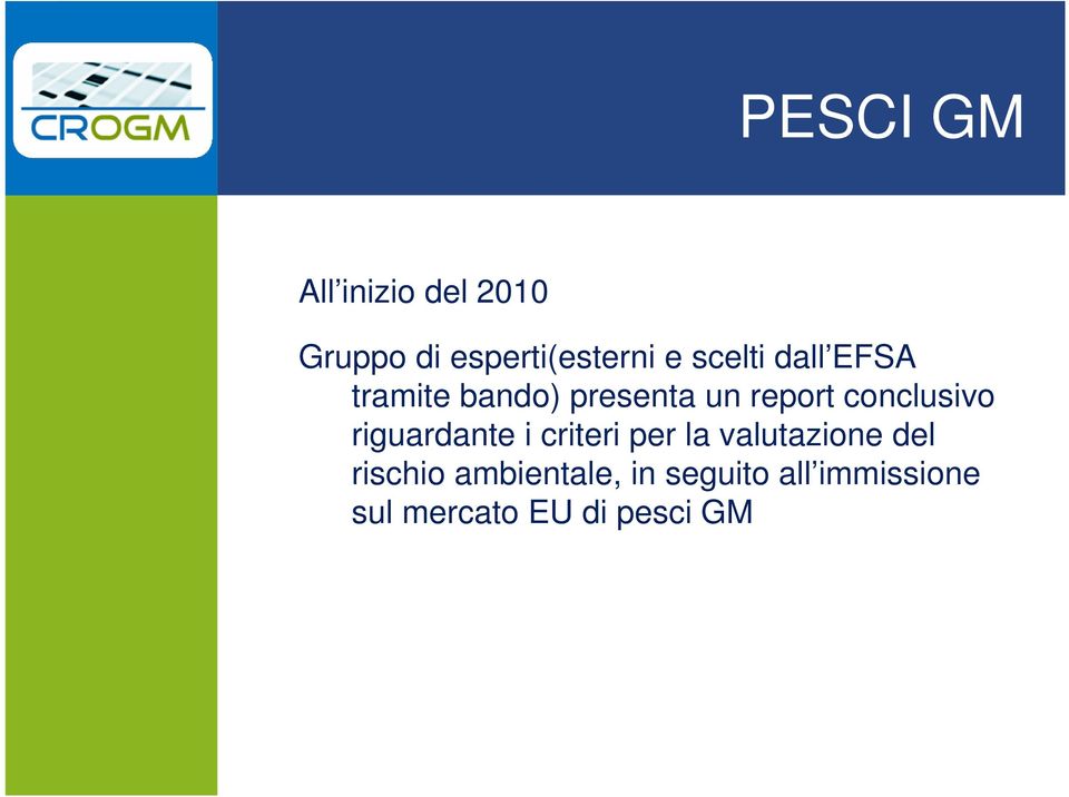 conclusivo riguardante i criteri per la valutazione del