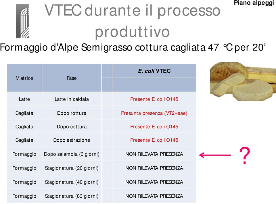 coli O145 Cagliata Dopo rottura Presunta presenza (VT2+eae) Cagliata Dopo cottura Presente E.