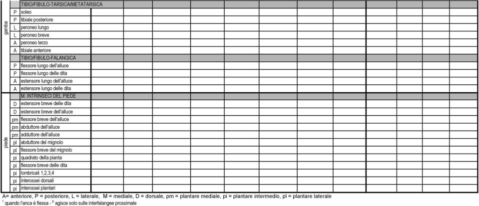 INTRINSECI DEL PIEDE D estensore breve delle dita D estensore breve dell'alluce pm flessore breve dell'alluce pm abduttore dell'alluce pm adduttore dell'alluce pl abduttore del mignolo pl flessore