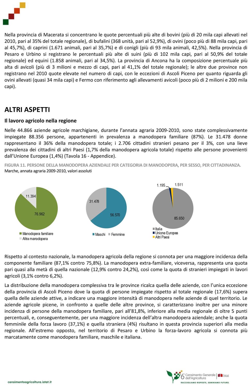 Nella provincia di Pesaro e Urbino si registrano le percentuali più alte di suini (più di 102 mila capi, pari al 50,9% del totale regionale) ed equini (1.858 animali, pari al 34,5%).