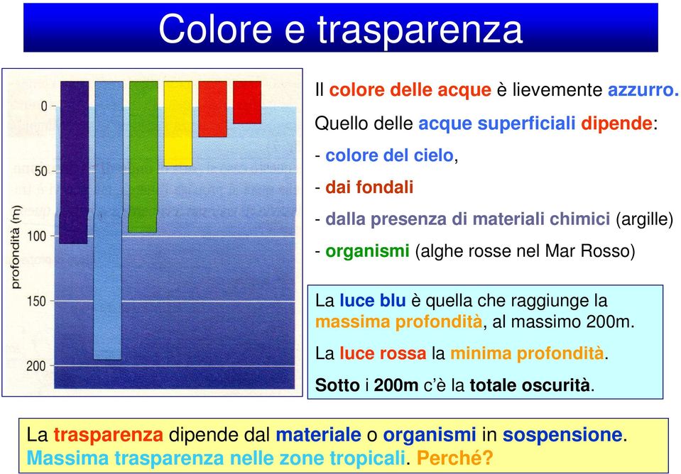 - organismi (alghe rosse nel Mar Rosso) La luce blu è quella che raggiunge la massima profondità, al massimo 200m.