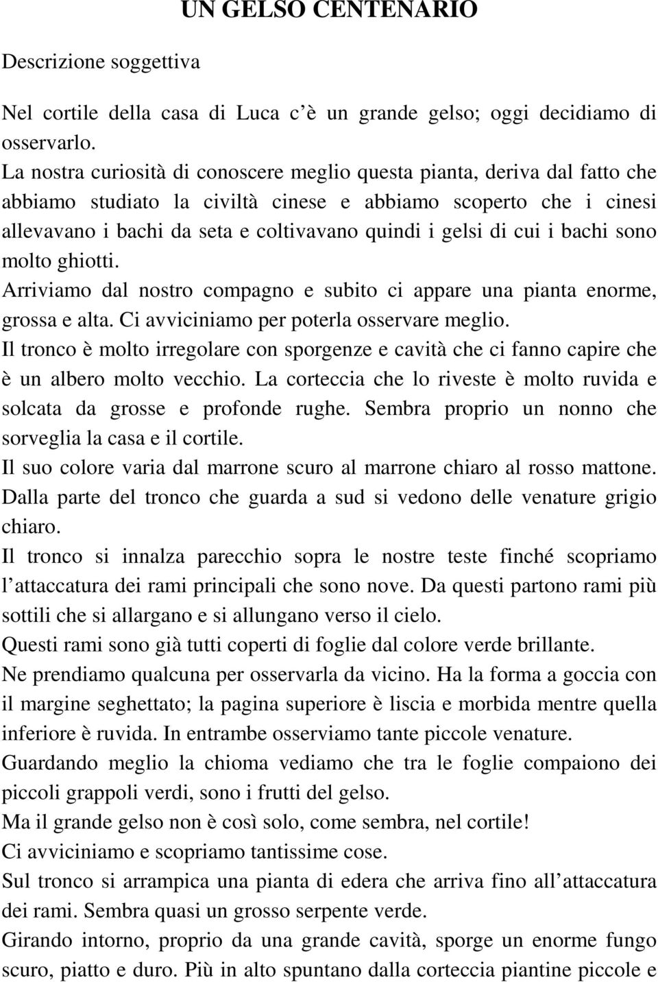 di cui i bachi sono molto ghiotti. Arriviamo dal nostro compagno e subito ci appare una pianta enorme, grossa e alta. Ci avviciniamo per poterla osservare meglio.