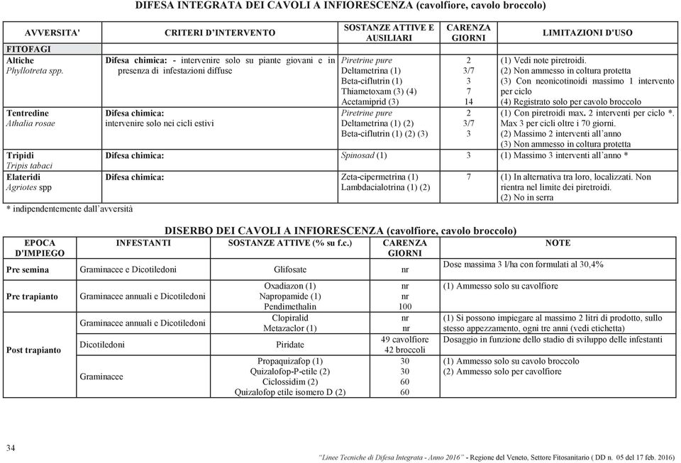 CRITERI D INTERVENTO - intervenire solo su piante giovani e in presenza di infestazioni diffuse intervenire solo nei cicli estivi SOSTANZE ATTIVE E Beta-ciflutrin (1) Thiametoxam () (4) Acetamiprid