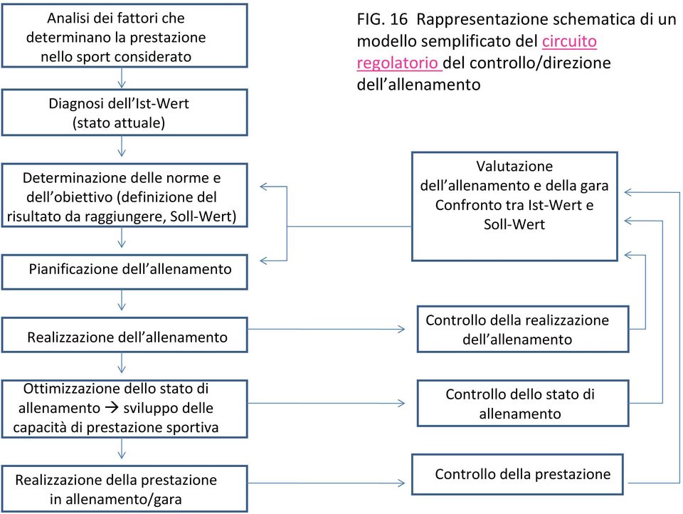 16 Rappresentazione schematica di un modello semplificato del circuito regolatorio del controllo/direzione dell allenamento Valutazione dell allenamento e della gara Confronto tra