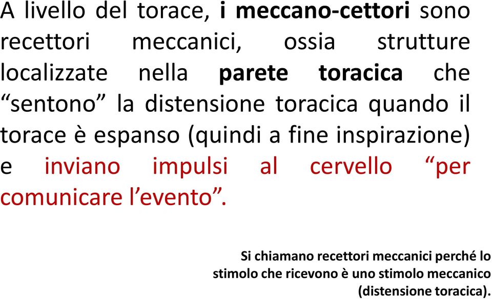 a fine inspirazione) e inviano impulsi al cervello per comunicare l evento.