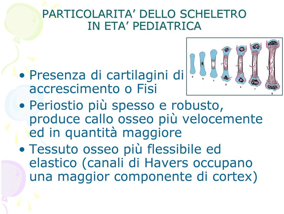 osseo più velocemente ed in quantità maggiore Tessuto osseo più