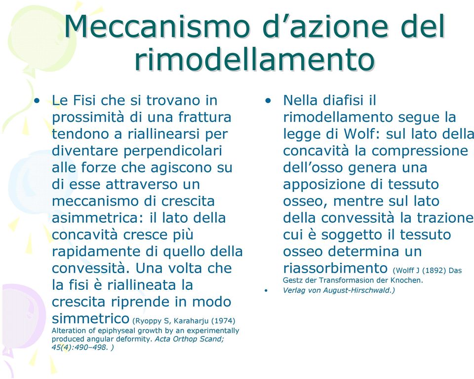 Una volta che la fisi è riallineata la crescita riprende in modo simmetrico (Ryoppy S, Karaharju (1974) Alteration of epiphyseal growth by an experimentally produced angular deformity.