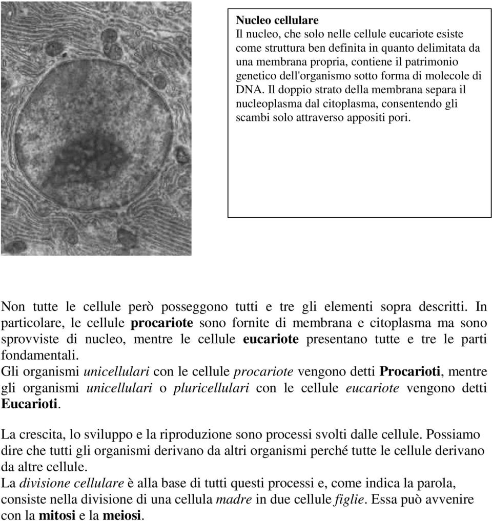 Non tutte le cellule però posseggono tutti e tre gli elementi sopra descritti.