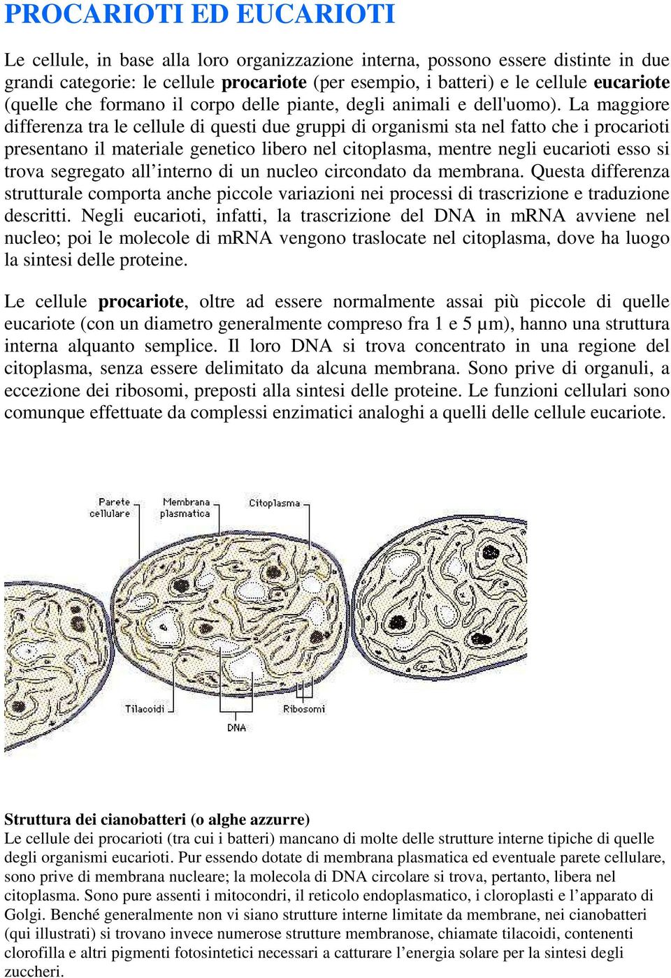 La maggiore differenza tra le cellule di questi due gruppi di organismi sta nel fatto che i procarioti presentano il materiale genetico libero nel citoplasma, mentre negli eucarioti esso si trova