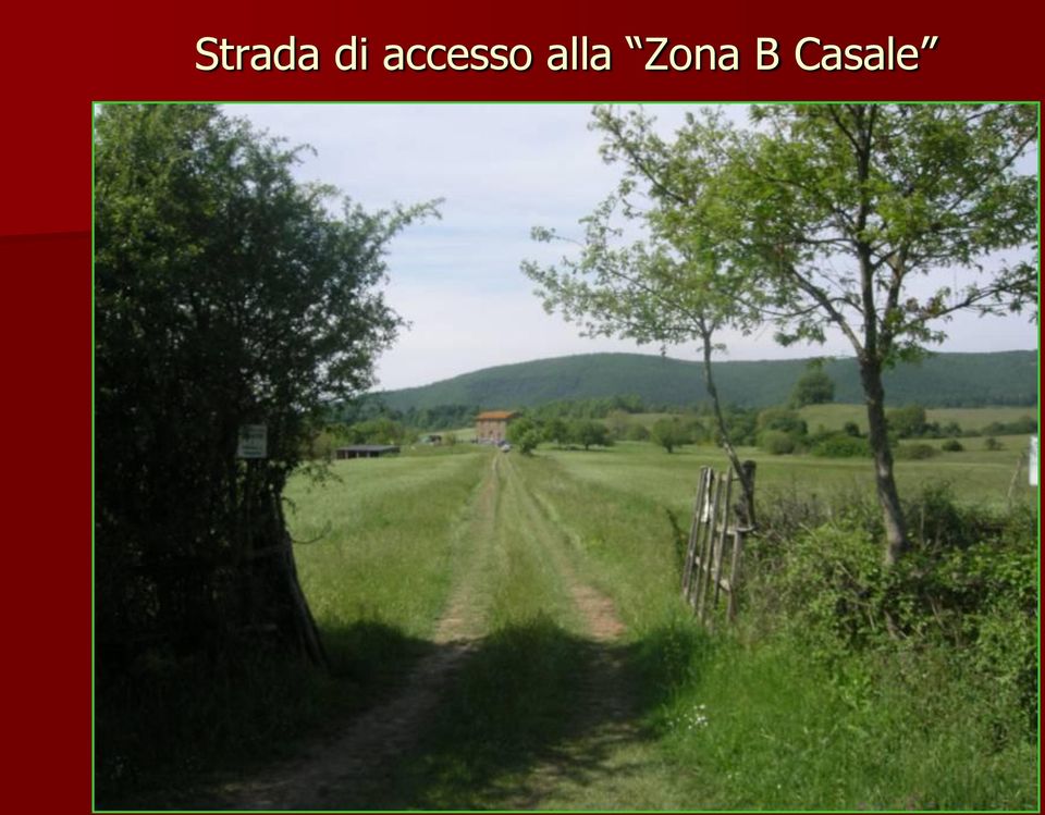 alla Zona