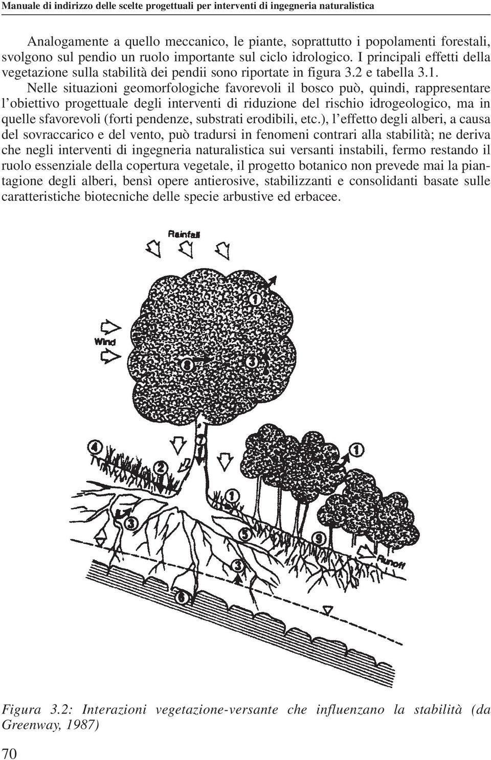 Nelle situazioni geomorfologiche favorevoli il bosco può, quindi, rappresentare l obiettivo progettuale degli interventi di riduzione del rischio idrogeologico, ma in quelle sfavorevoli (forti
