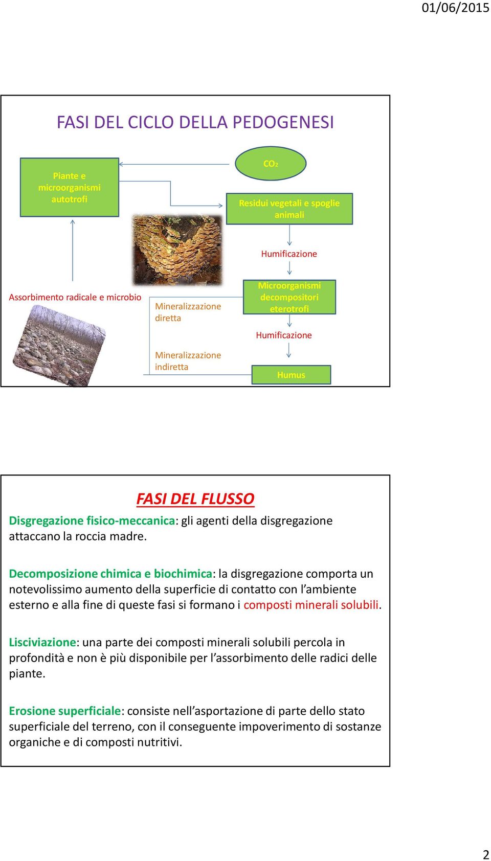 Decomposizione chimica e biochimica: la disgregazione comporta un notevolissimo aumento della superficie di contatto con l ambiente esterno e alla fine di queste fasi si formano i composti minerali