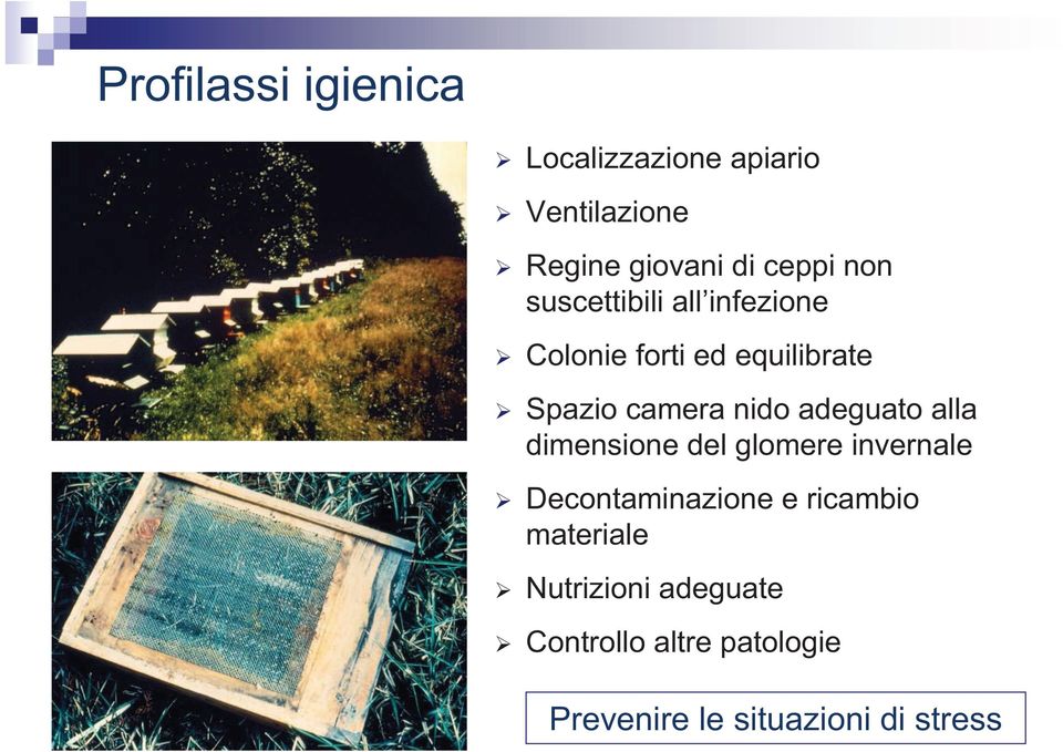 adeguato alla dimensione del glomere invernale Decontaminazione e ricambio