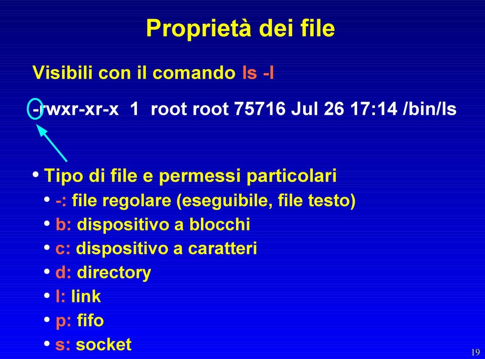 -: file regolare (eseguibile, file testo) b: dispositivo a blocchi