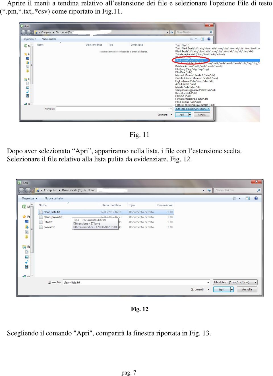 11. Fig. 11 Dopo aver selezionato Apri, appariranno nella lista, i file con l estensione scelta.