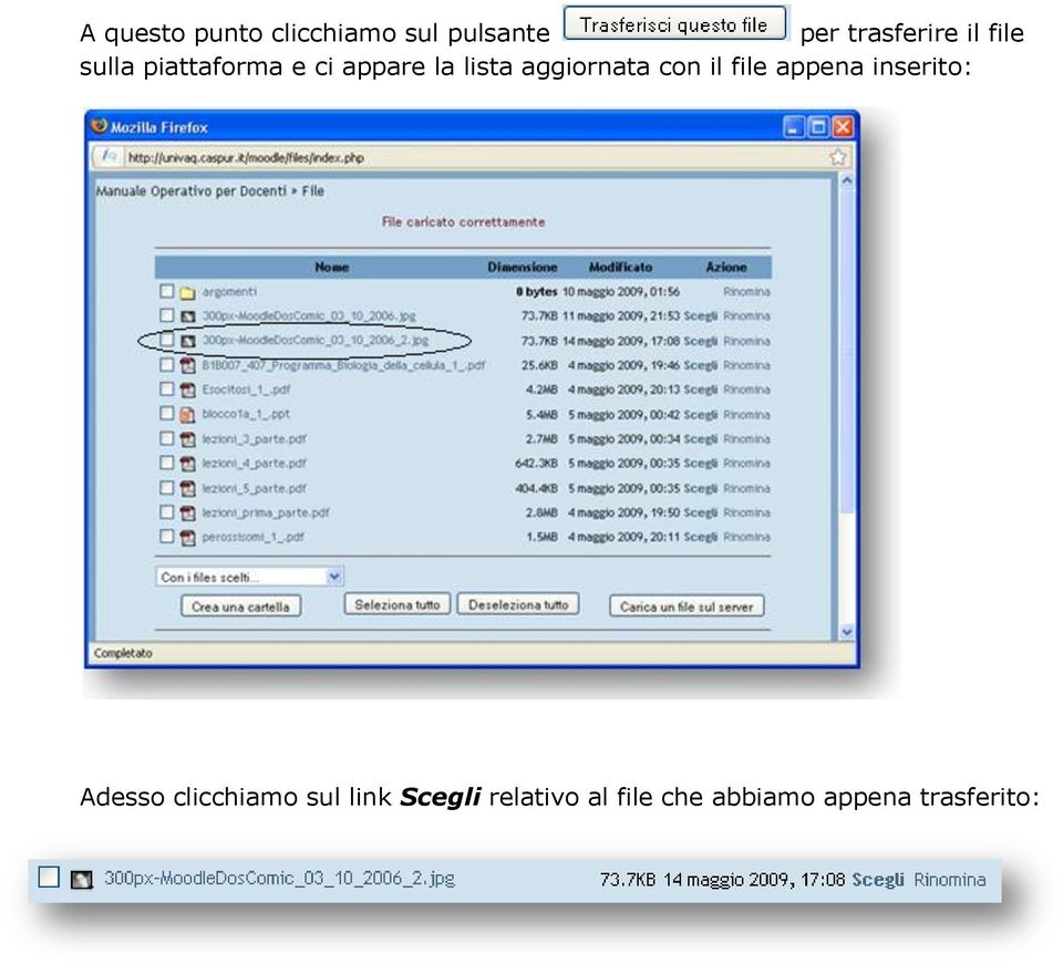 aggiornata con il file appena inserito: Adesso