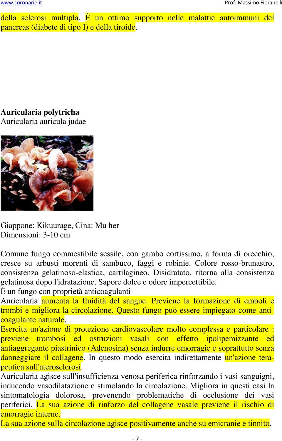 morenti di sambuco, faggi e robinie. Colore rosso-brunastro, consistenza gelatinoso-elastica, cartilagineo. Disidratato, ritorna alla consistenza gelatinosa dopo l'idratazione.