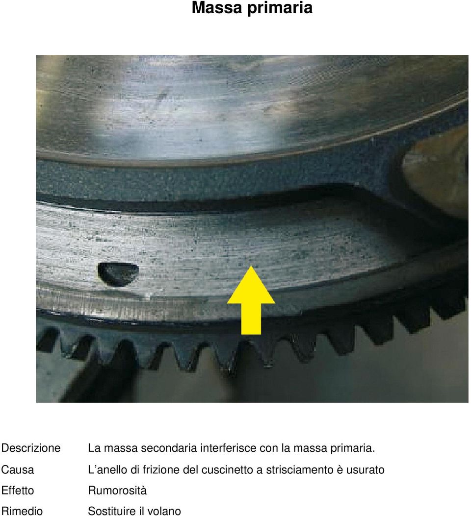 L anello di frizione del cuscinetto a