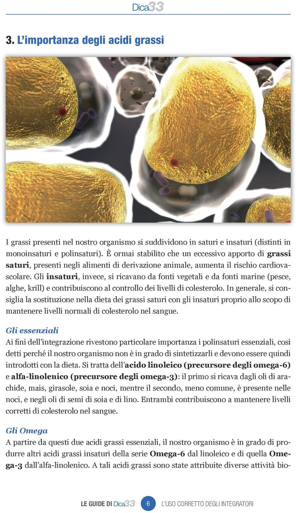 Gli insaturi, invece, si ricavano da fonti vegetali e da fonti marine (pesce, alghe, krill) e contribuiscono al controllo dei livelli di colesterolo.