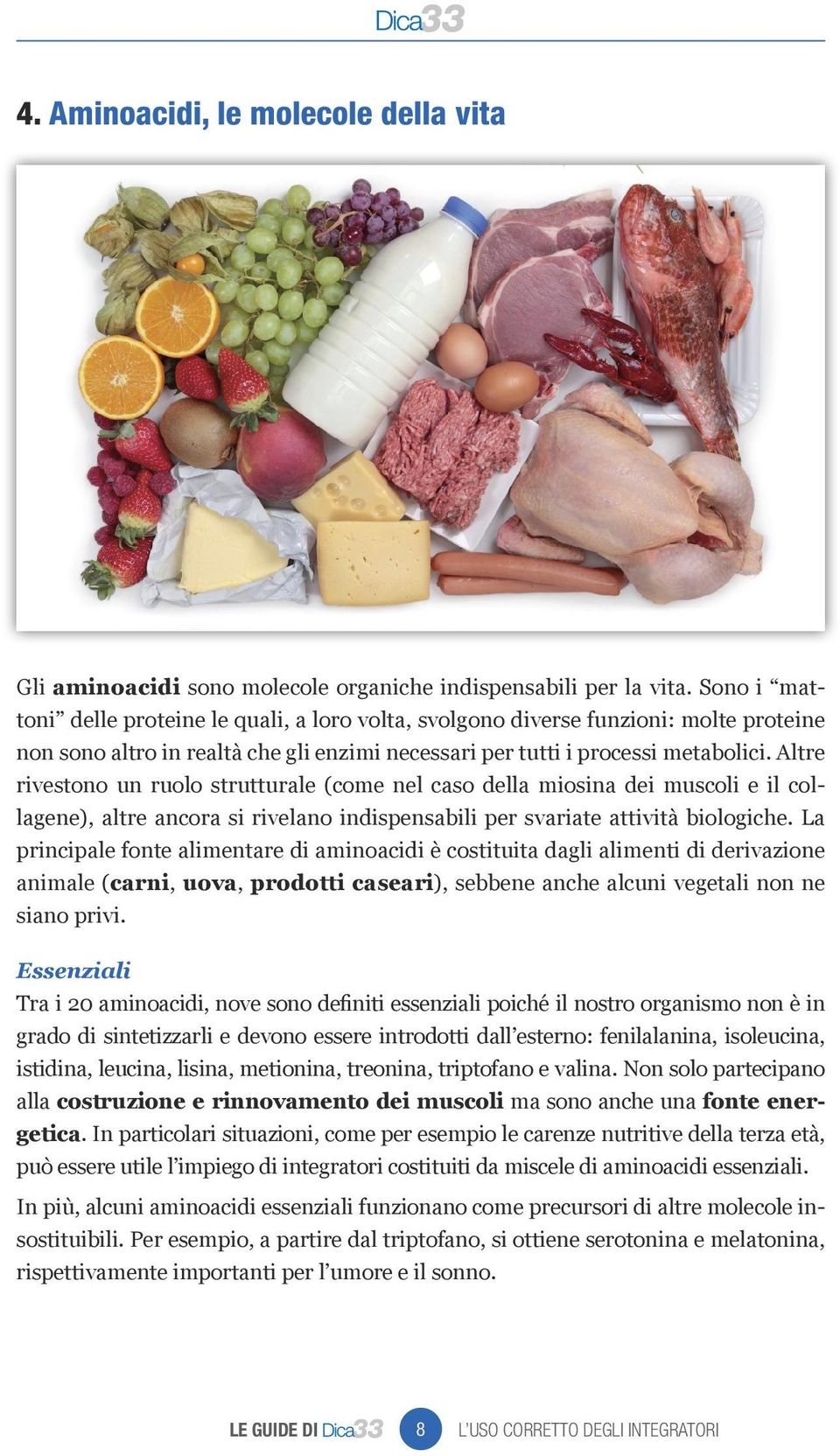 Altre rivestono un ruolo strutturale (come nel caso della miosina dei muscoli e il collagene), altre ancora si rivelano indispensabili per svariate attività biologiche.