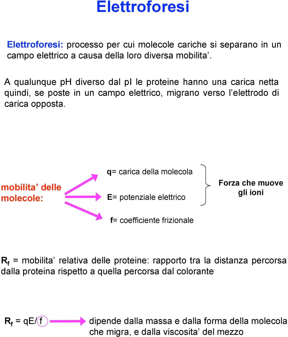 mobilita delle molecole: q= carica della molecola E= potenziale elettrico Forza che muove gli ioni f= coefficiente frizionale R f = mobilita relativa delle