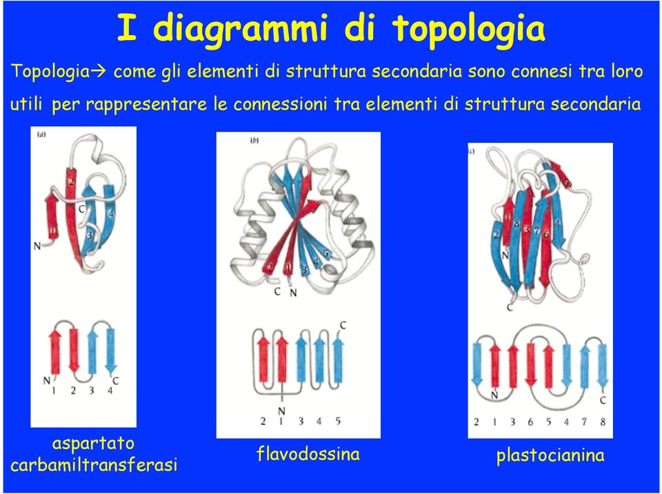 rappresentare le connessioni tra elementi di struttura