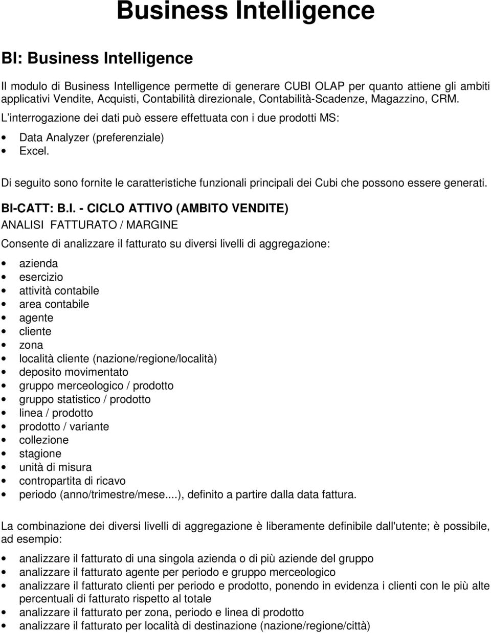 Di seguito sono fornite le caratteristiche funzionali principali dei Cubi che possono essere generati. BI-