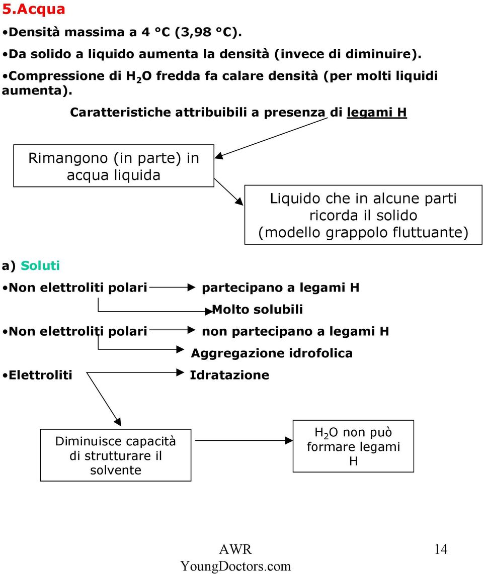 Caratteristiche attribuibili a presenza di legami H Rimangono (in parte) in acqua liquida Liquido che in alcune parti ricorda il solido (modello