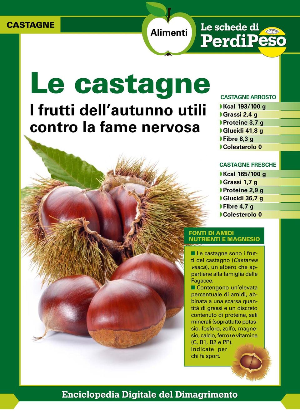 sono i frutti del castagno (Castanea vesca), un albero che appartiene alla famiglia delle Fagacee.