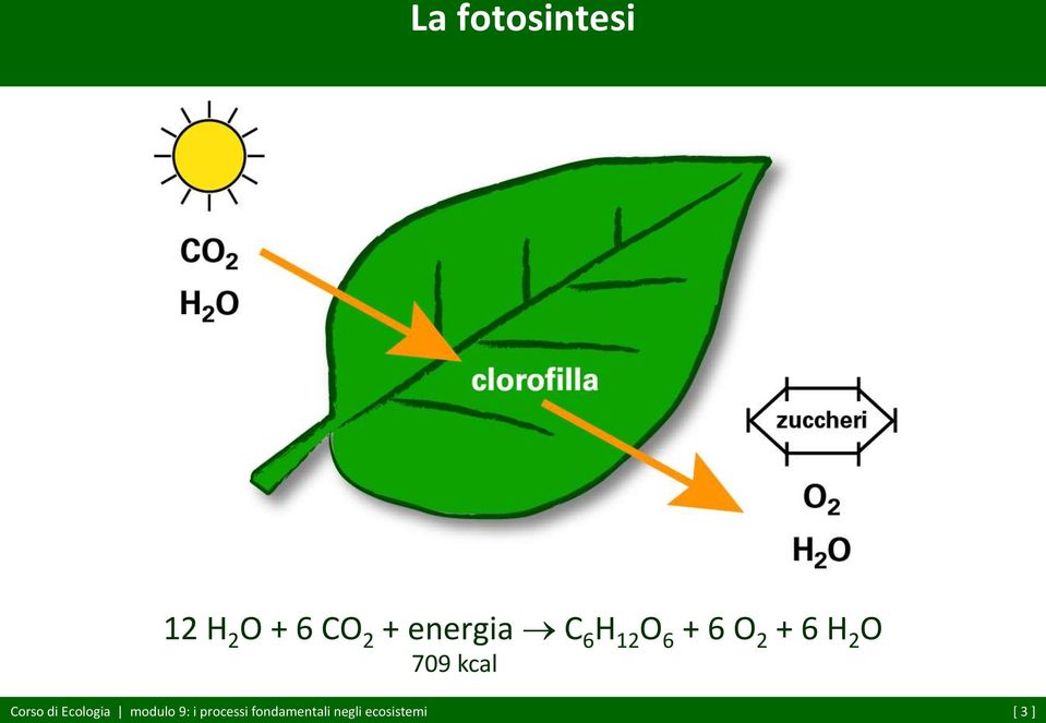 709 kcal Corso di Ecologia modulo 9: i