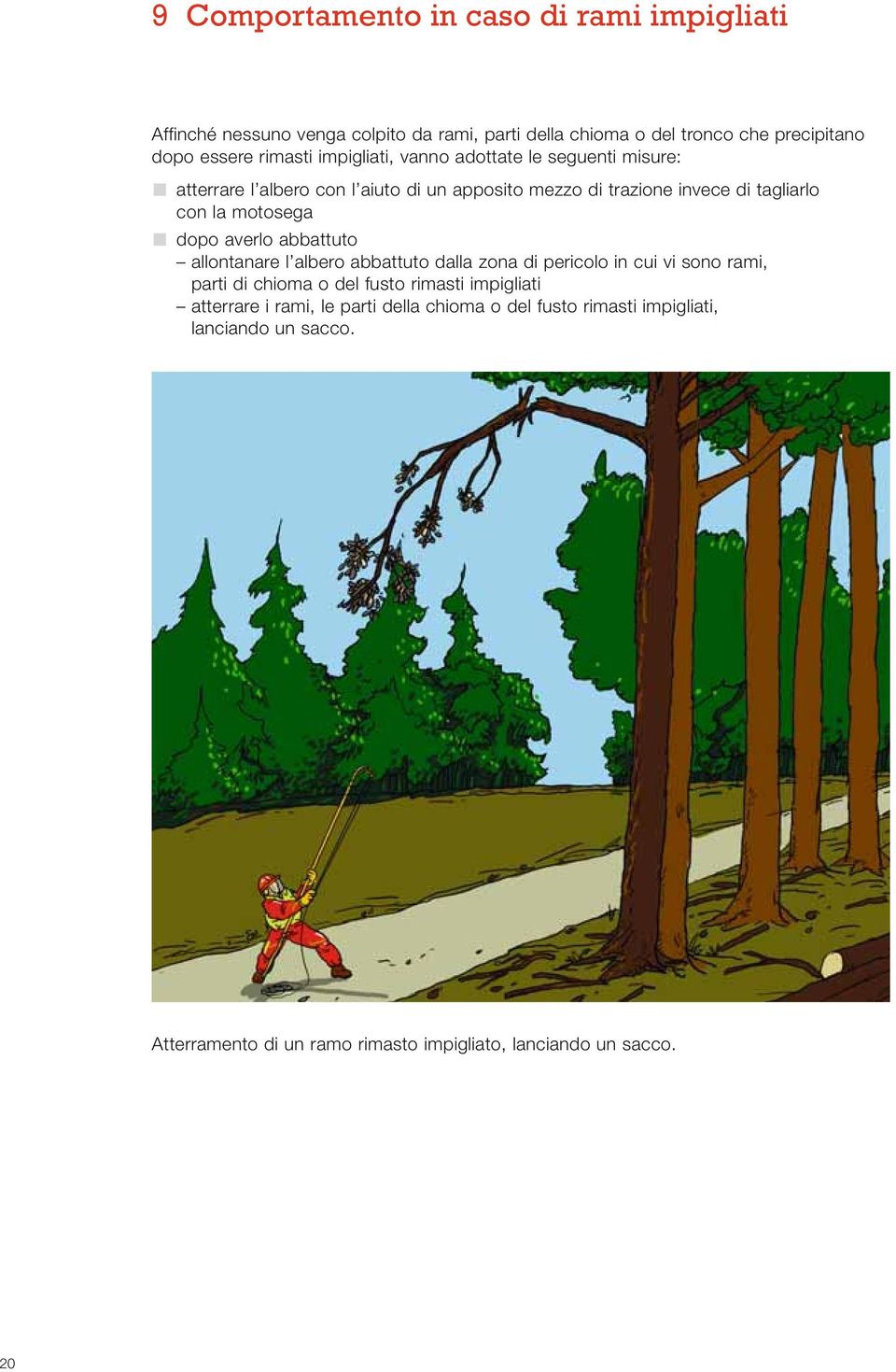 motosega dopo averlo abbattuto allontanare l albero abbattuto dalla zona di pericolo in cui vi sono rami, parti di chioma o del fusto rimasti