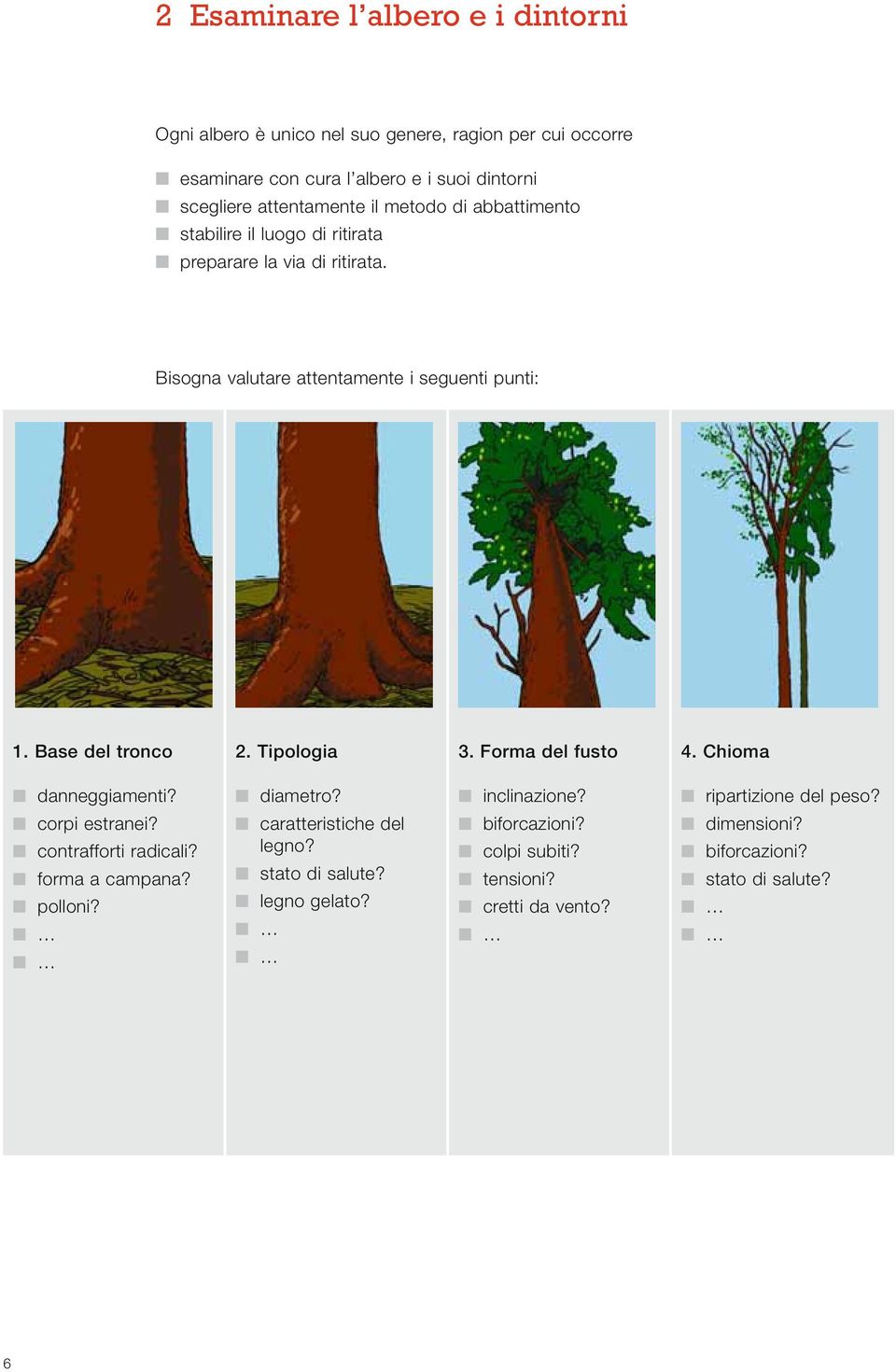 Base del tronco 2. Tipologia 3. Forma del fusto 4. Chioma danneggiamenti? diametro? inclinazione? ripartizione del peso? corpi estranei? contrafforti radicali?