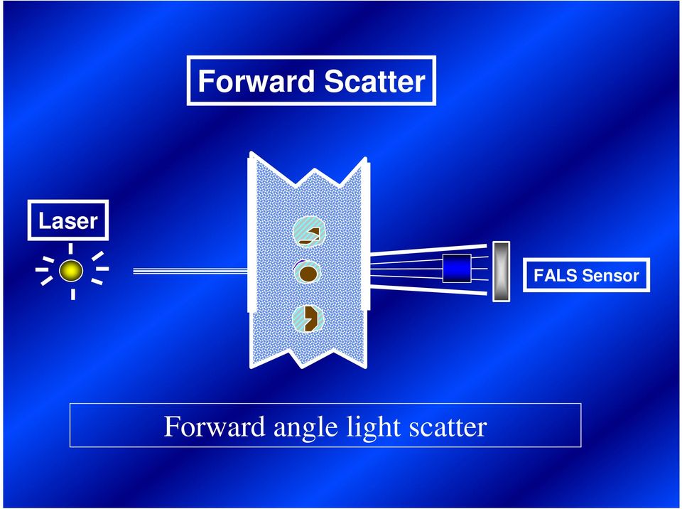 Sensor Forward