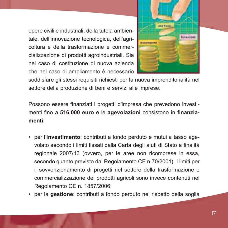 servizi alle imprese. Possono essere finanziati i progetti d'impresa che prevedono investimenti fino a 516.