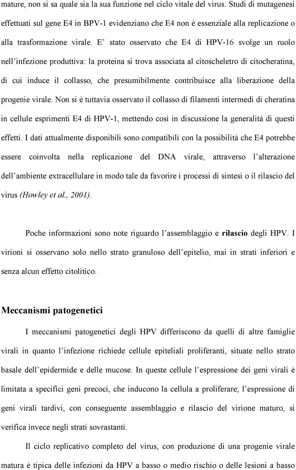 E stato osservato che E4 di HPV-16 svolge un ruolo nell infezione produttiva: la proteina si trova associata al citoscheletro di citocheratina, di cui induce il collasso, che presumibilmente