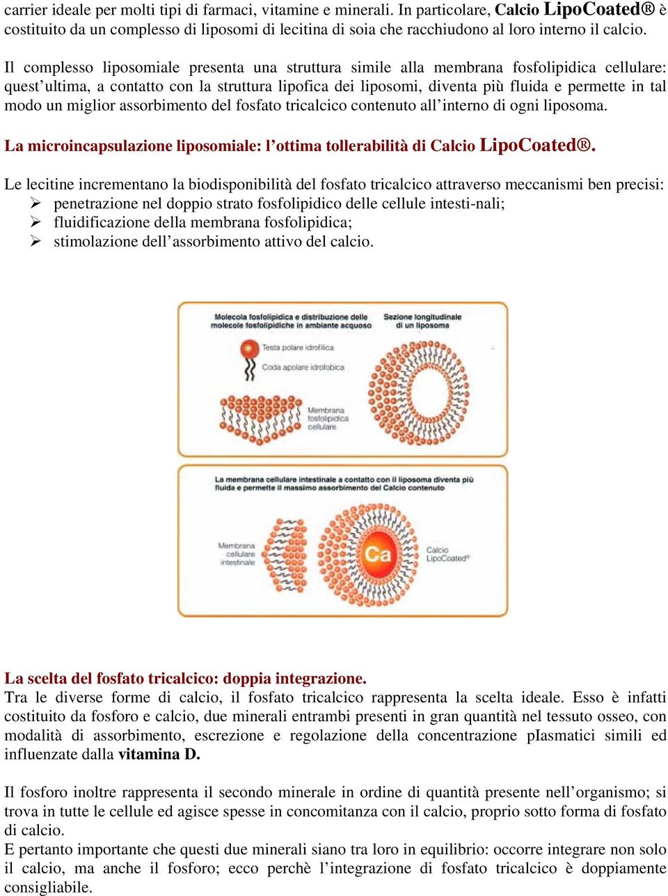 modo un miglior assorbimento del fosfato tricalcico contenuto all interno di ogni liposoma. La microincapsulazione liposomiale: l ottima tollerabilità di Calcio LipoCoated.