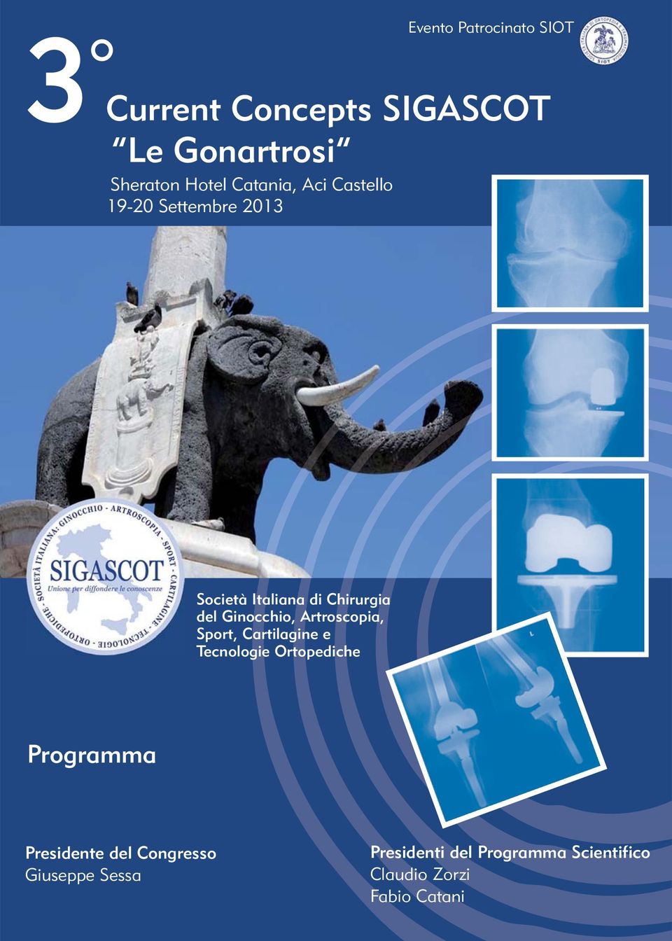 Ginocchio, Artroscopia, Sport, Cartilagine e Tecnologie Ortopediche Programma